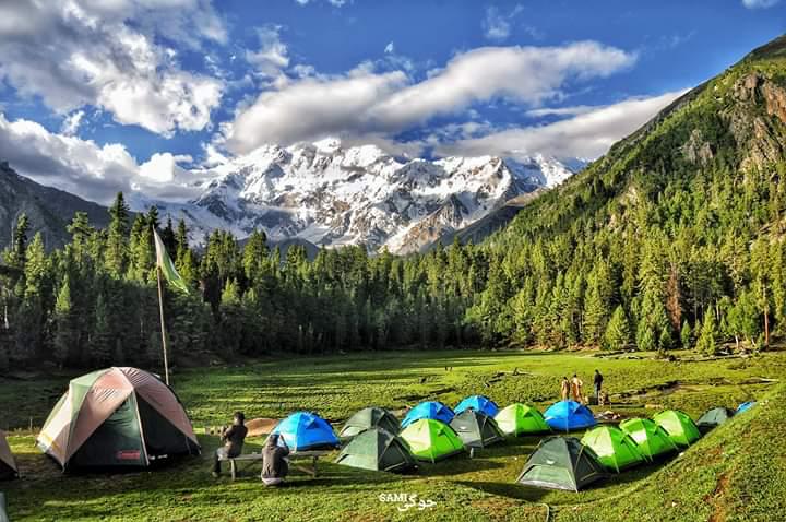 fairy meadows