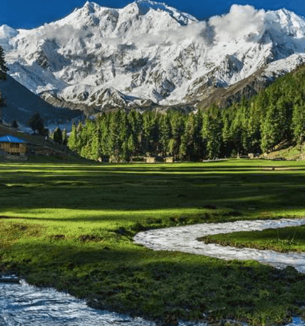 nanga parbat base camp trek