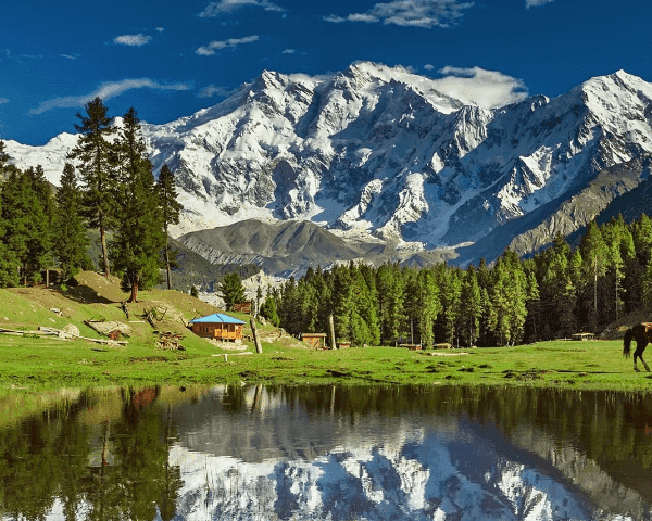 Nanga Parbat Base Camp Trek and Fairy Meadows – 3,850 m (12,631 ft.)