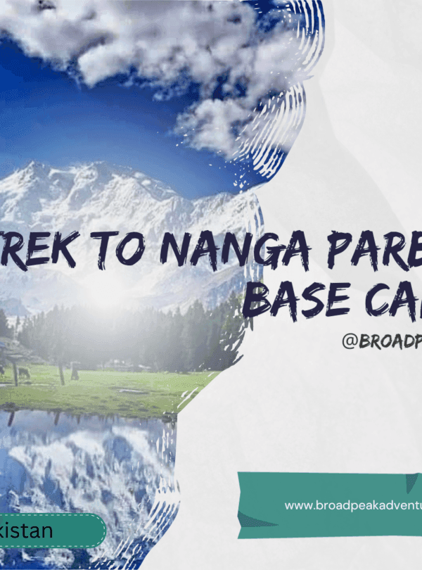 nanga parbat base camp trek