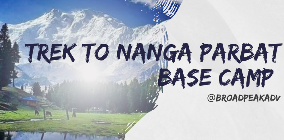 nanga parbat base camp trek