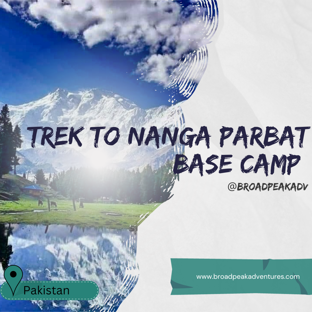 nanga parbat base camp trek