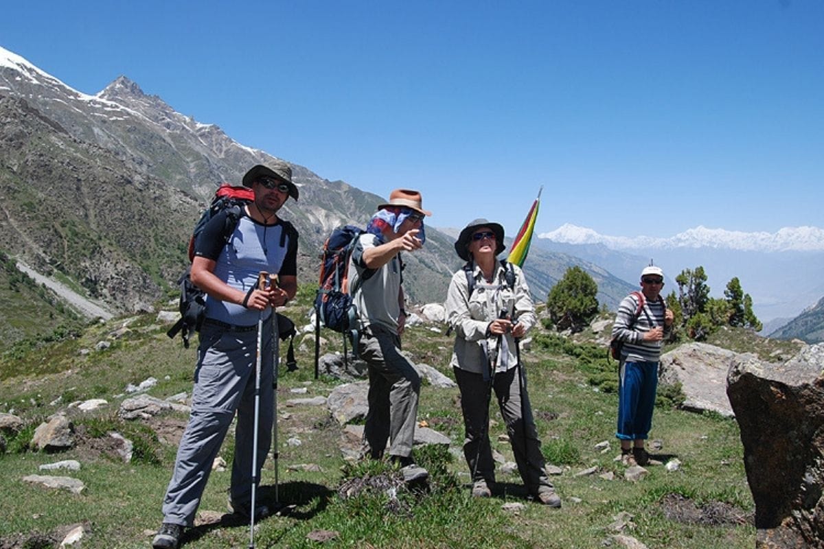 Mountain trail through pine forest on Nanga Parbat trek