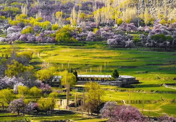Skardu Spring Tour