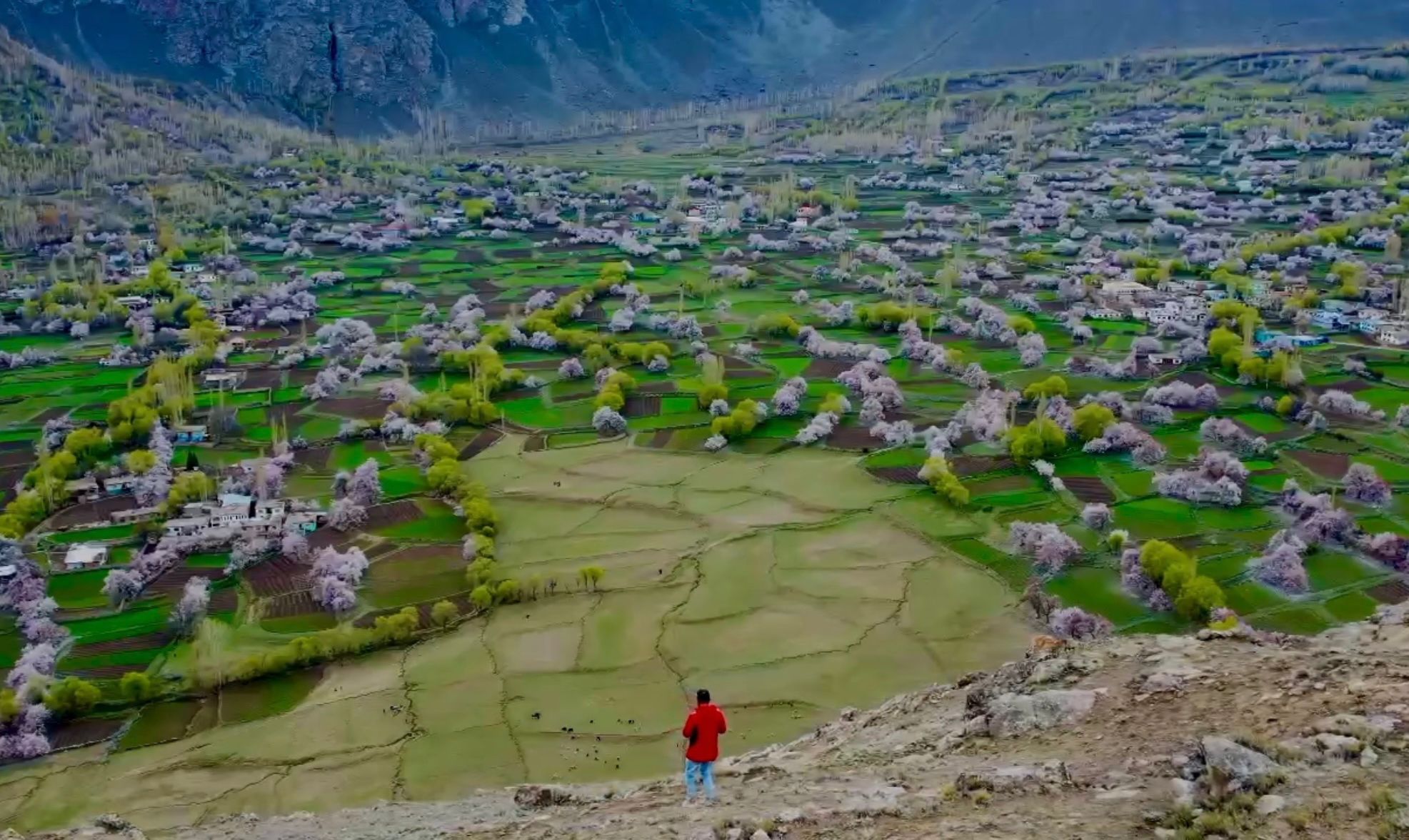 Top Places in Gilgit Baltistan to Visit During Spring