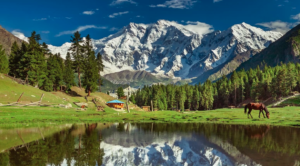 Fairy meadows and Nanga parbat trek