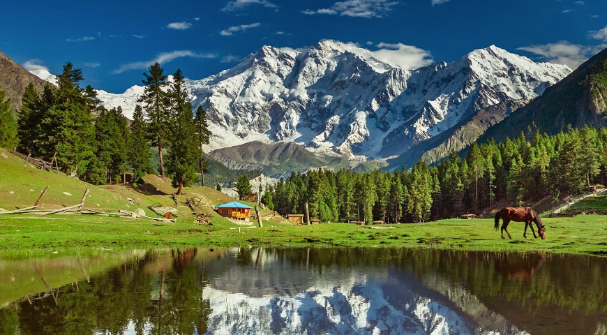 Fairy meadows and Nanga parbat trek