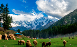Fairy meadows and Nanga parbat trek