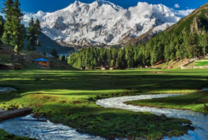 Fairy meadows and Nanga parbat trek