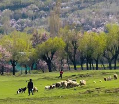 Duksa Meadows Trek