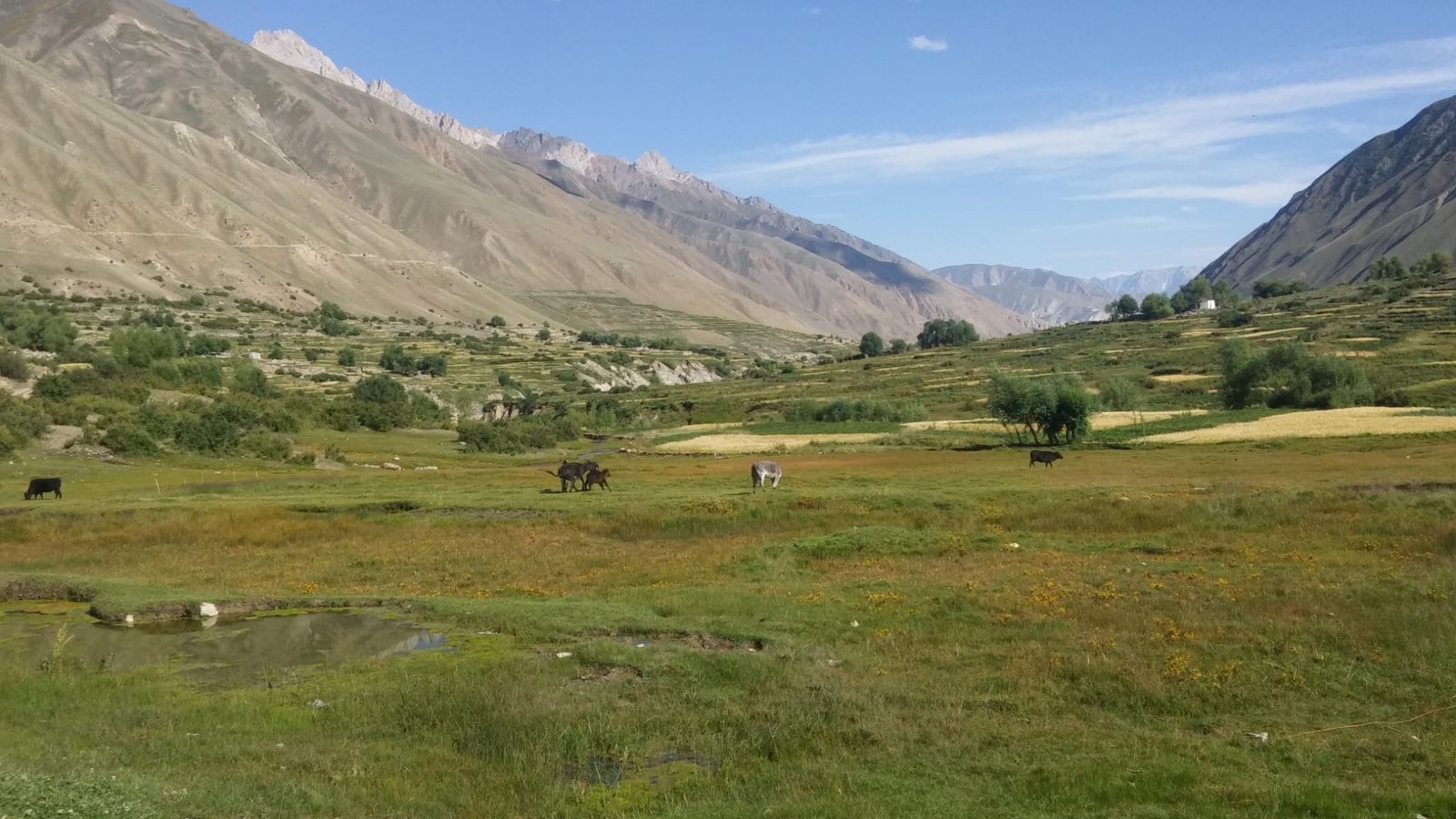Thalay la trek